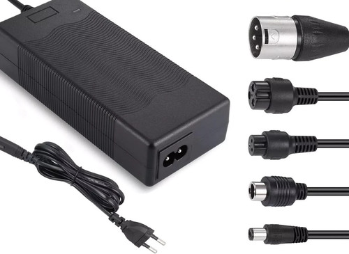 Carica batterie bicicletta - batterie,